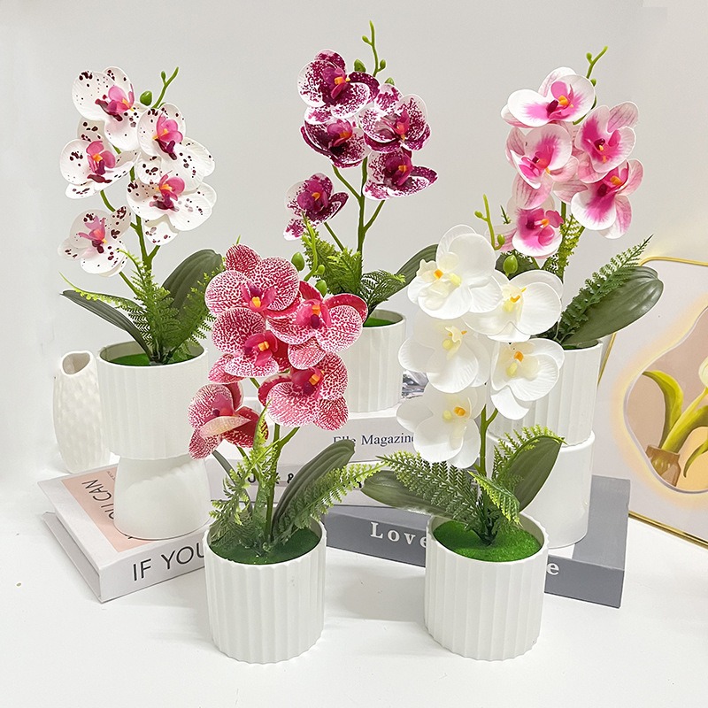 Vertical Wall Planter - Vaso Vertical com 5 Orquídeas Borboleta,
