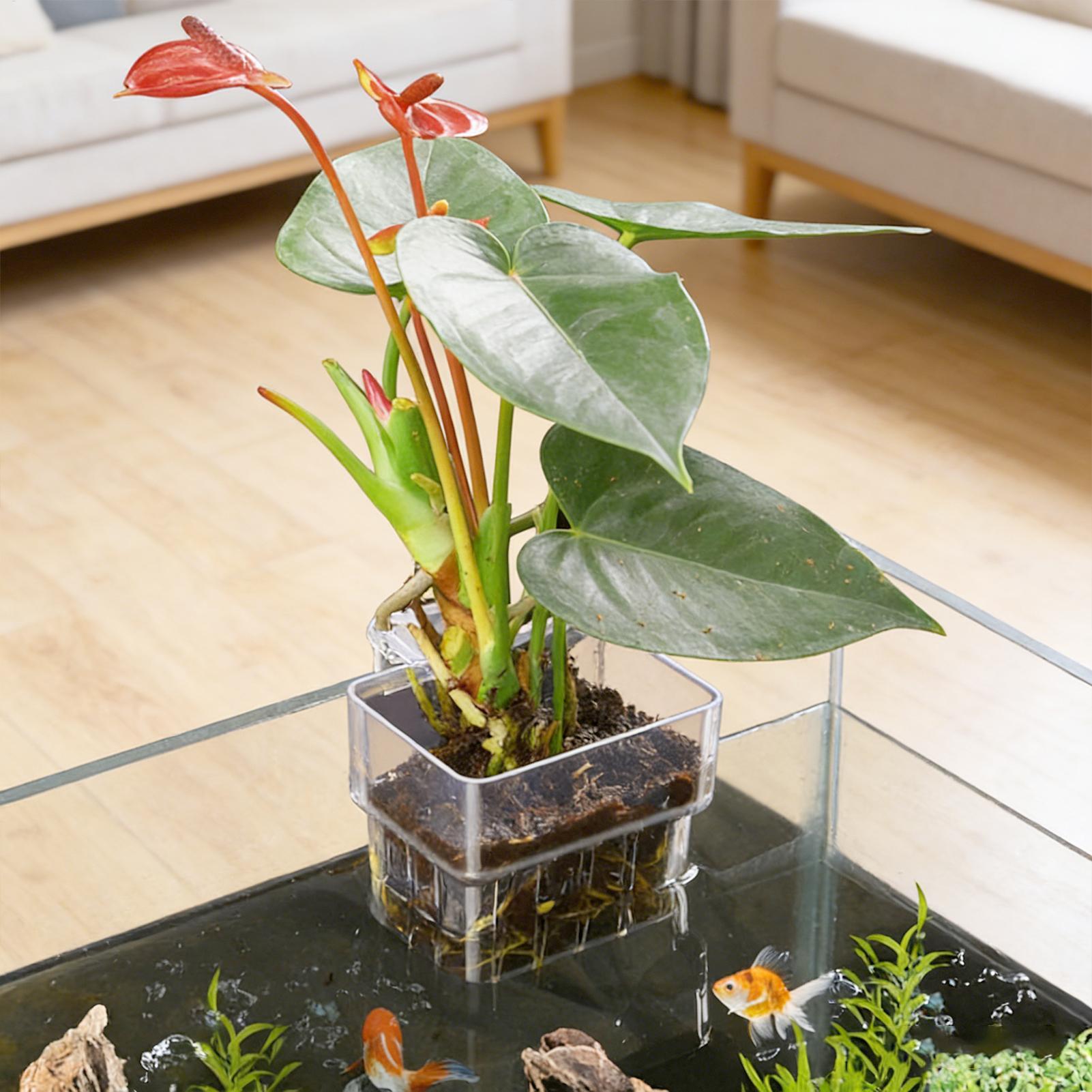 Hanging Planter Basket - Cesta Transparente para Plantas de Aquário,