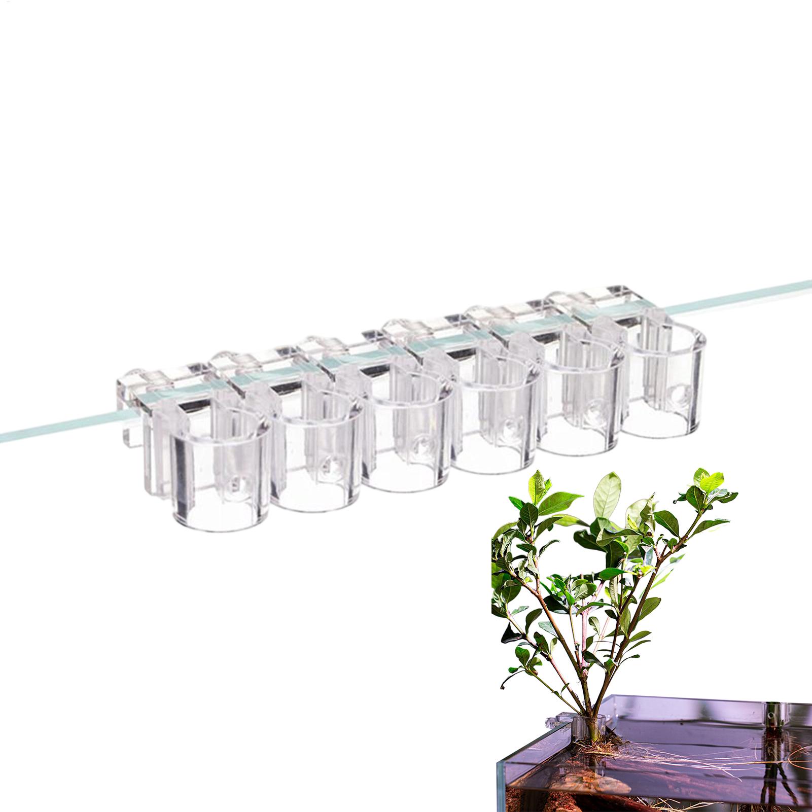 Hanging Planter Basket - Cesta Transparente para Plantas de Aquário,