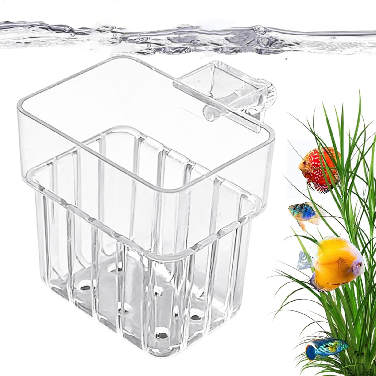 Hanging Planter Basket - Cesta Transparente para Plantas de Aquário,