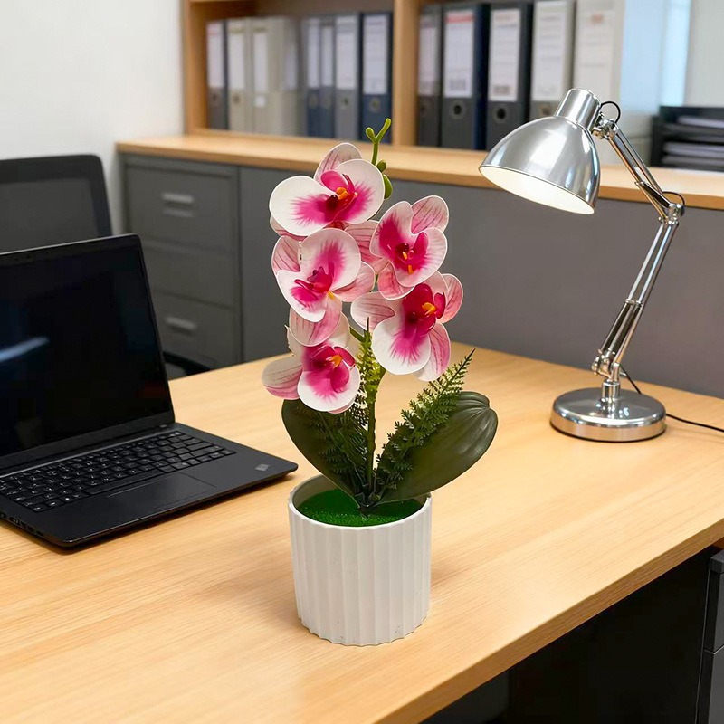 Vaso Vertical com 5 Orquídeas  - Vertical Wall Planter avaliação e preço