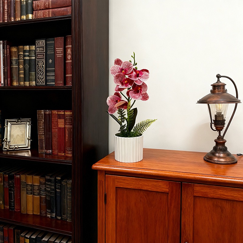 Vaso Vertical com 5 Orquídeas  - Vertical Wall Planter avaliação e preço