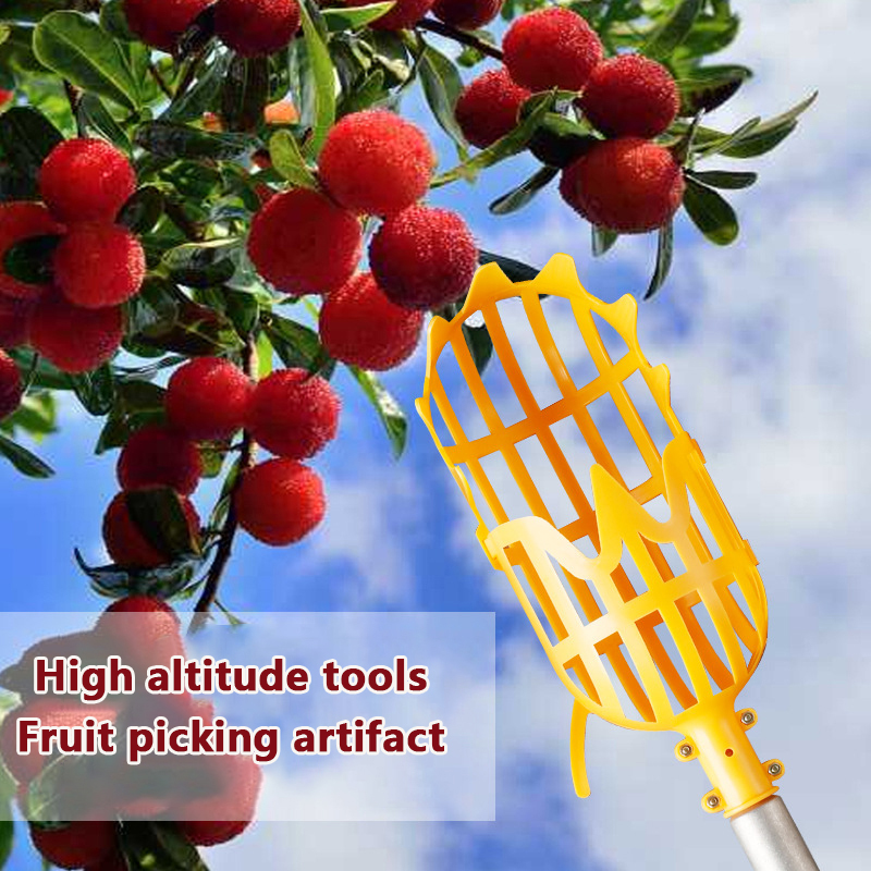 Selecionador De Frutas De Plás - Gardening Tools Rack avaliação e preço
