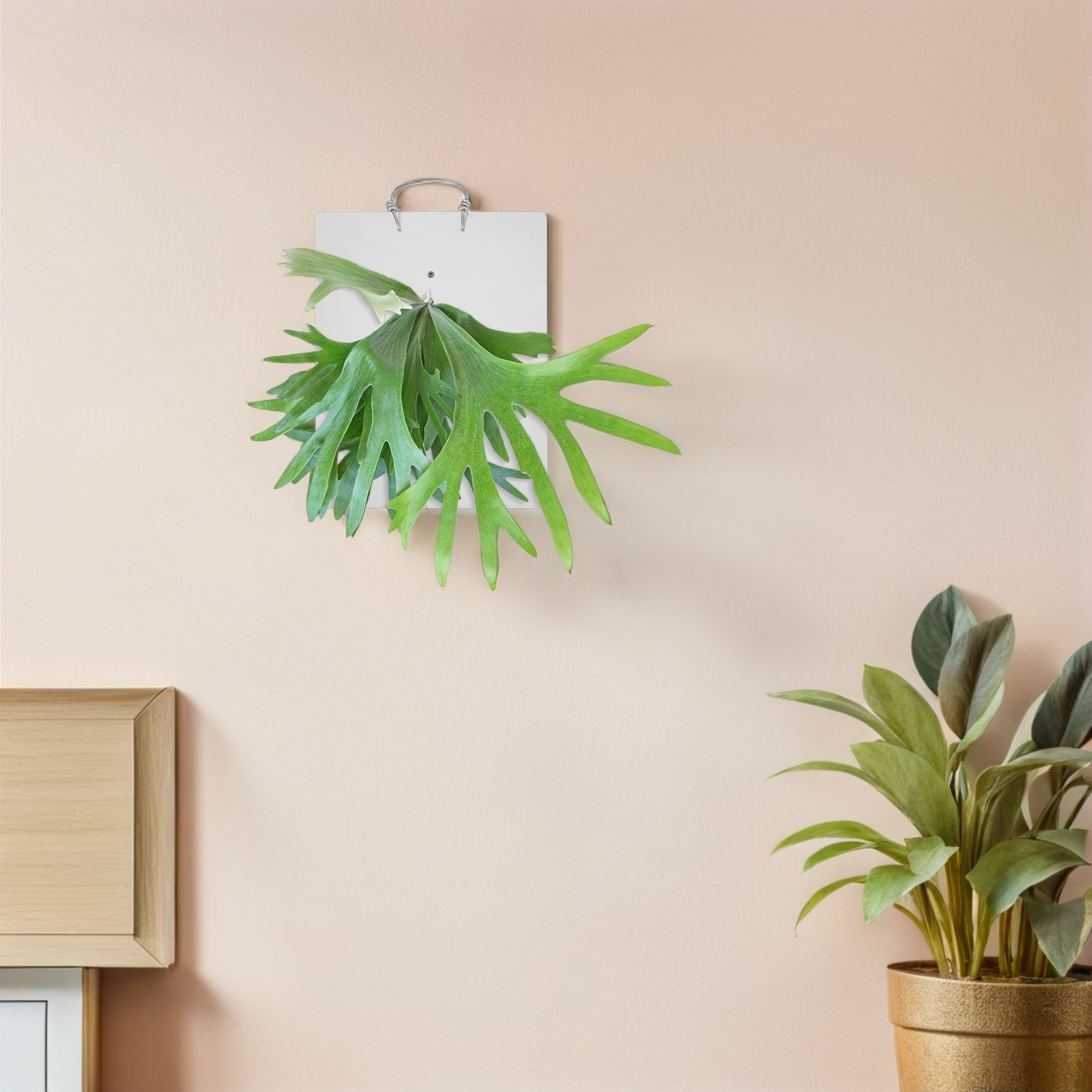 Placa de Montagem de Acrílico  - Vertical Wall Planter avaliação e preço