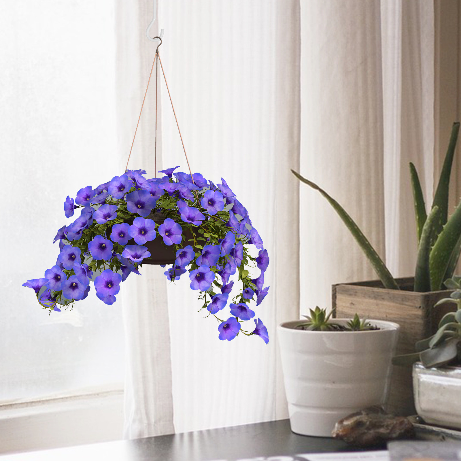 2 conjuntos de ganchos de teto - Hanging Planter Basket avaliação e preço