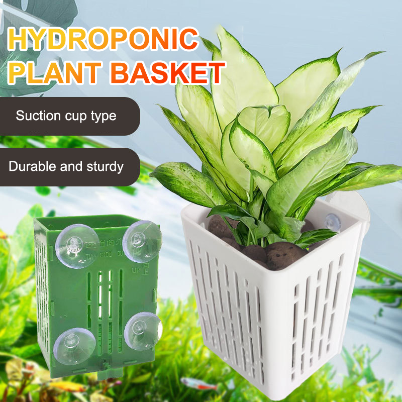 Pendurado ventosa gancho aquár - Hanging Planter Basket avaliação e preço