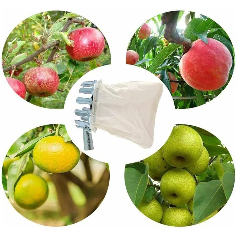 Conjunto de Ferramentas 3 em 1 - Gardening Tools Equipment avaliação e preço