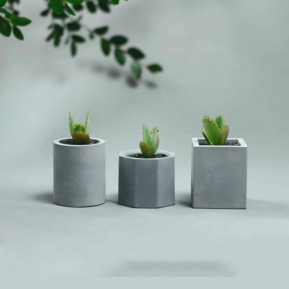 Molde do potenciômetro da plan - Gardening Tools Cute avaliação e preço