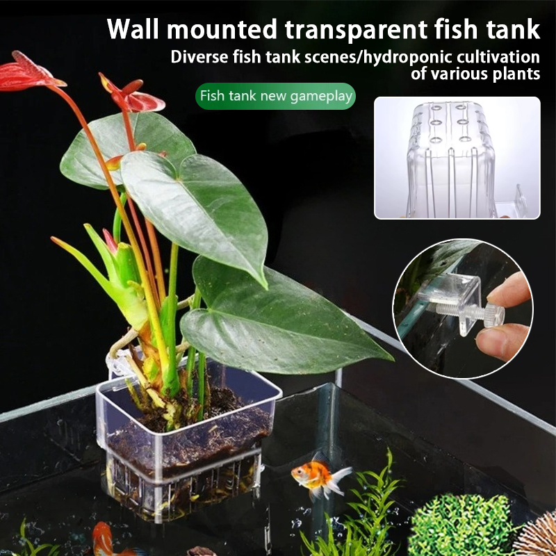 Cestas Suspensas para Aquário, - Hanging Planter Basket avaliação e preço