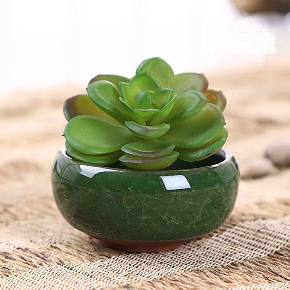 Vaso de Cerâmica Respirável co - Gardening Tools Cute avaliação e preço