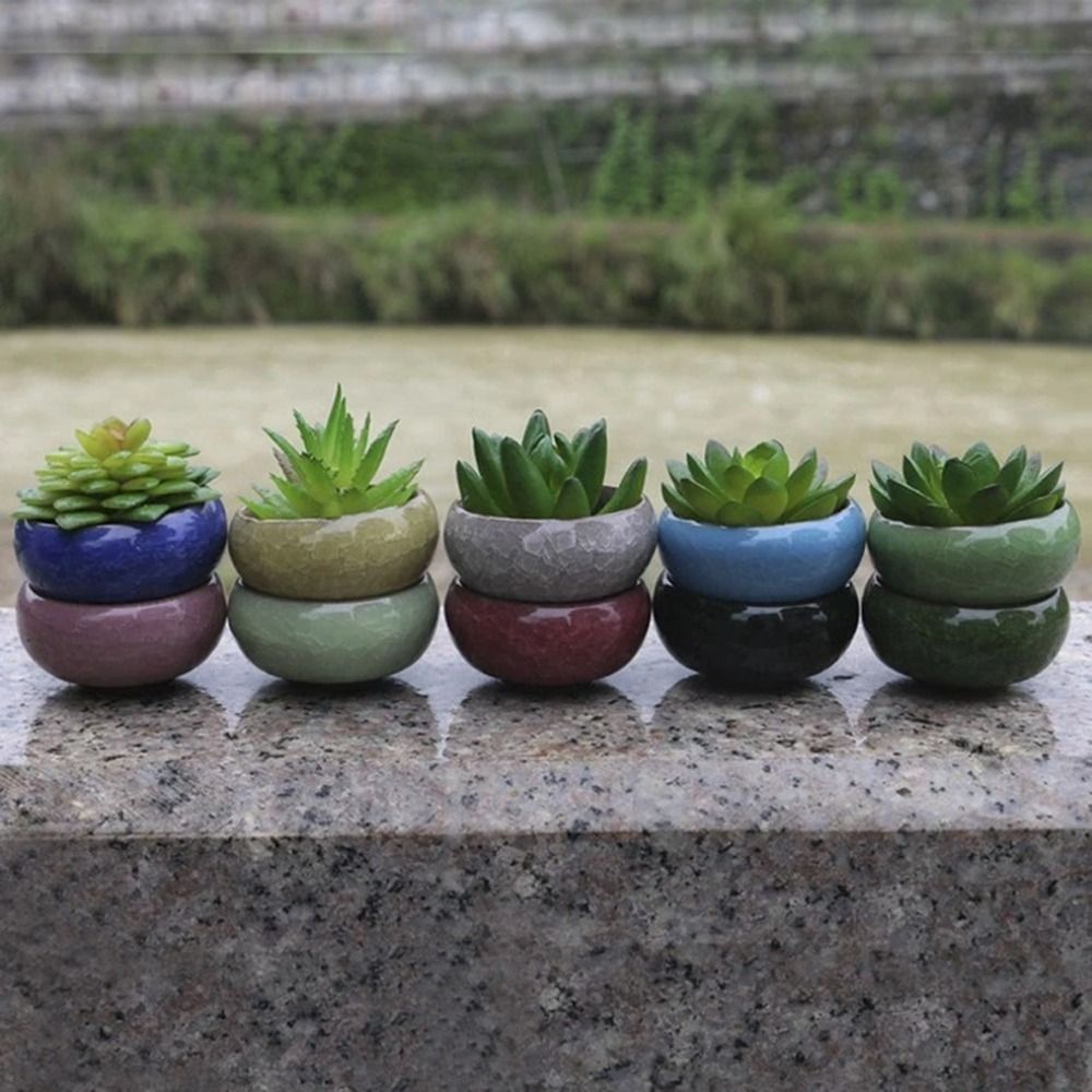 Vaso de Cerâmica Respirável co - Gardening Tools Cute avaliação e preço