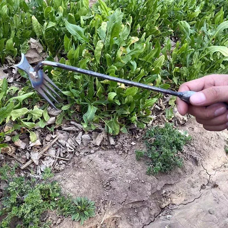 Capinador Manual de Jardim par - Gardening Tools To Remove Weeds avaliação e preço