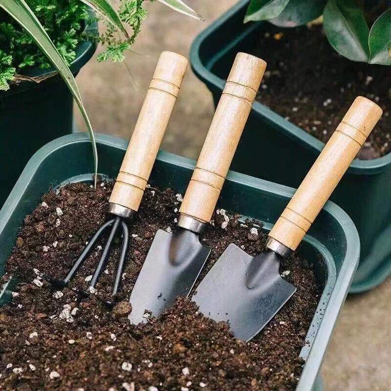 3pc/1 conjunto mini conjunto d - Gardening Tools Equipment avaliação e preço