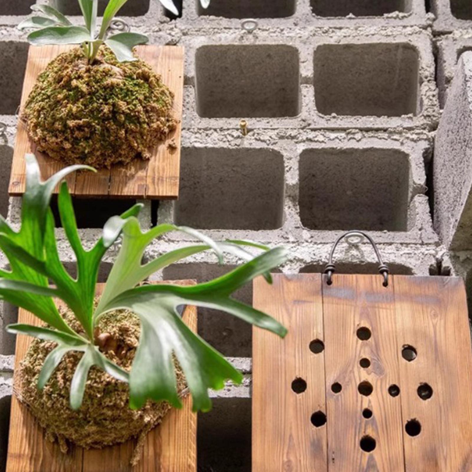 1 pçs interior de madeira stag - Vertical Wall Planter avaliação e preço