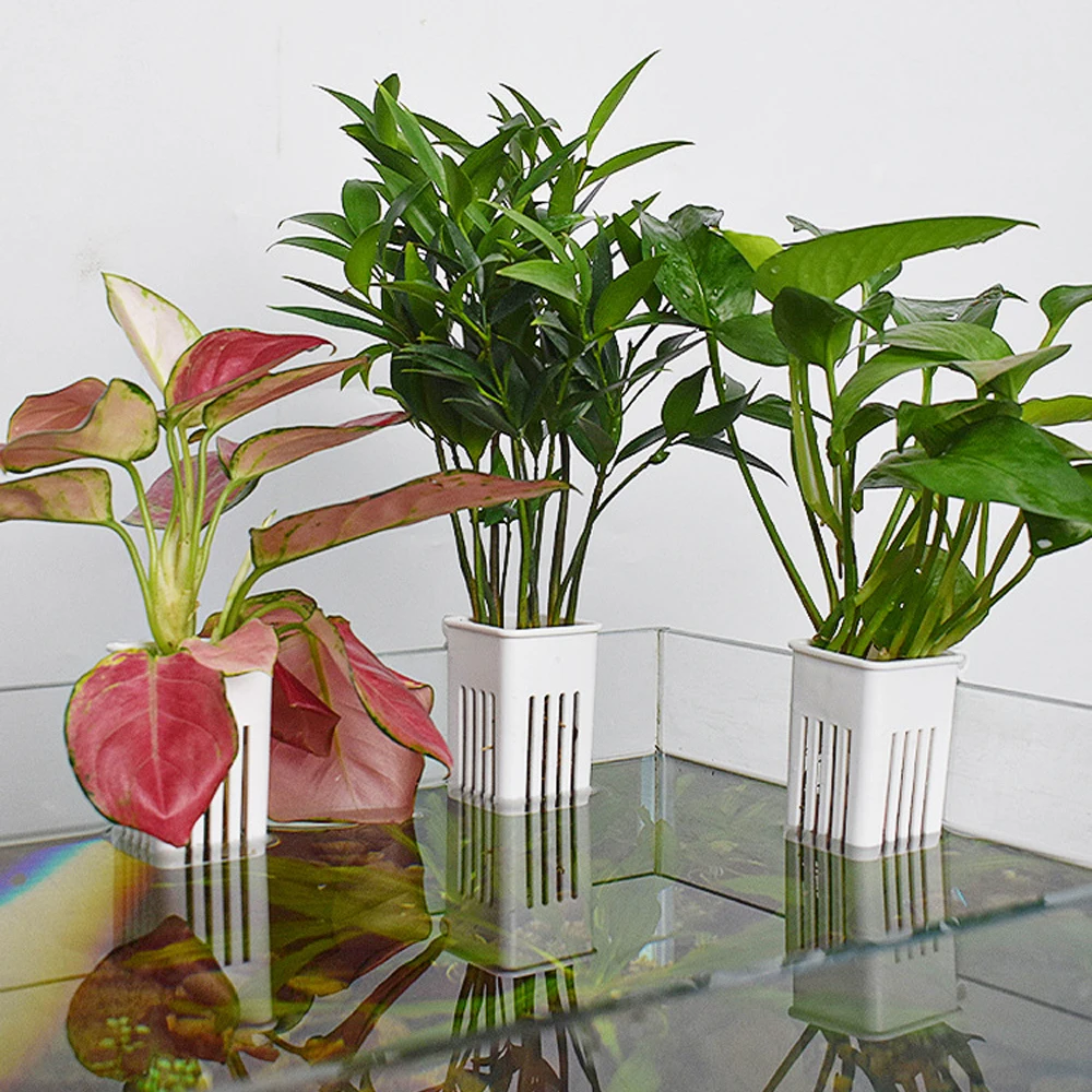1 peça plantadores hidropônico - Hanging Planter Basket avaliação e preço