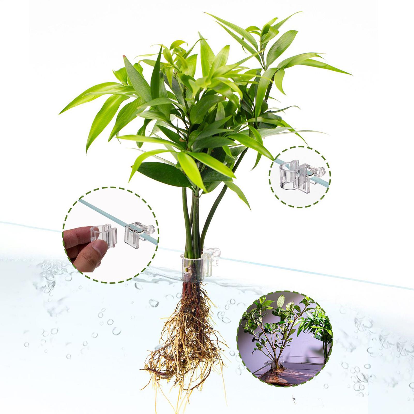 Cesta Transparente para Planta - Hanging Planter Basket avaliação e preço