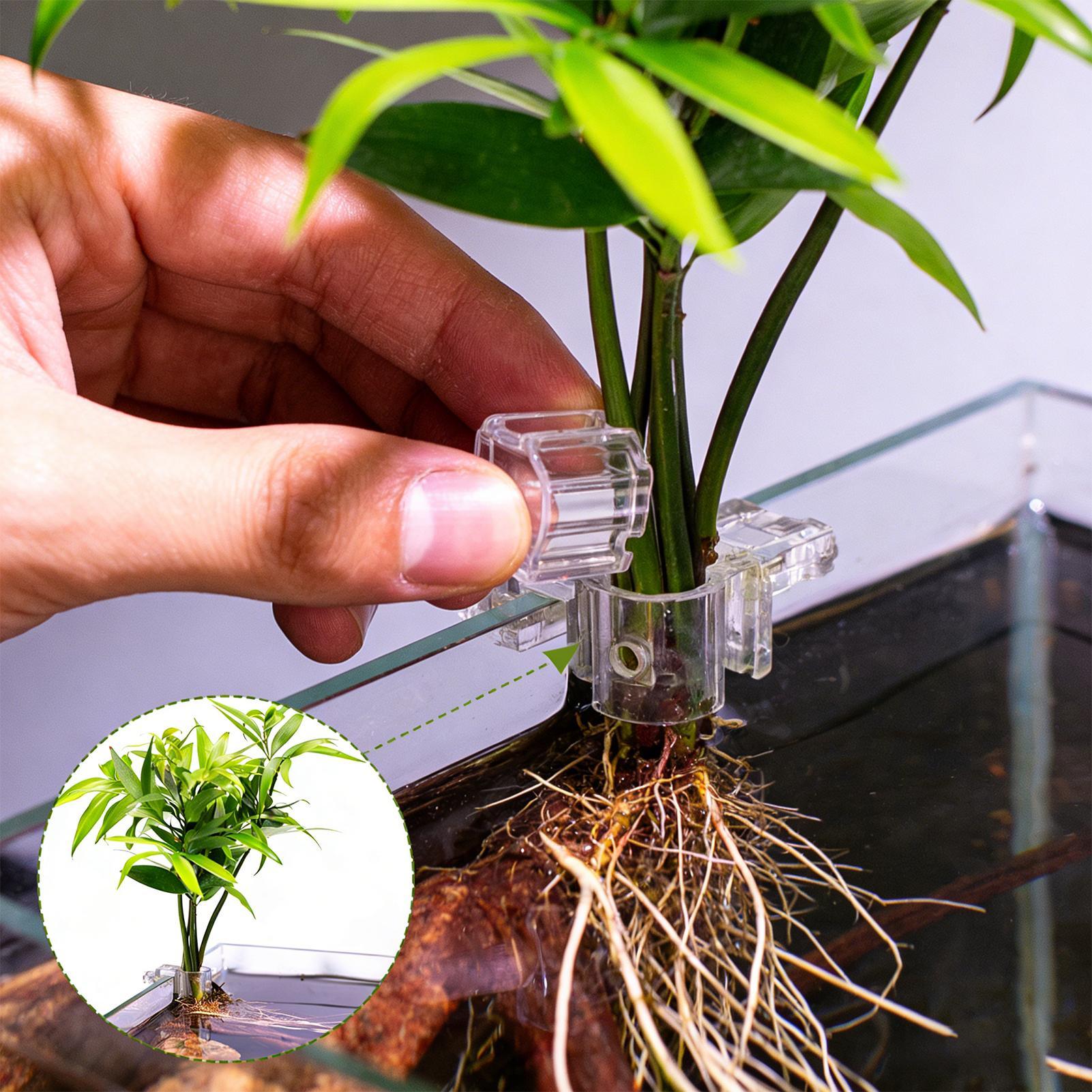 Cesta Transparente para Planta - Hanging Planter Basket avaliação e preço