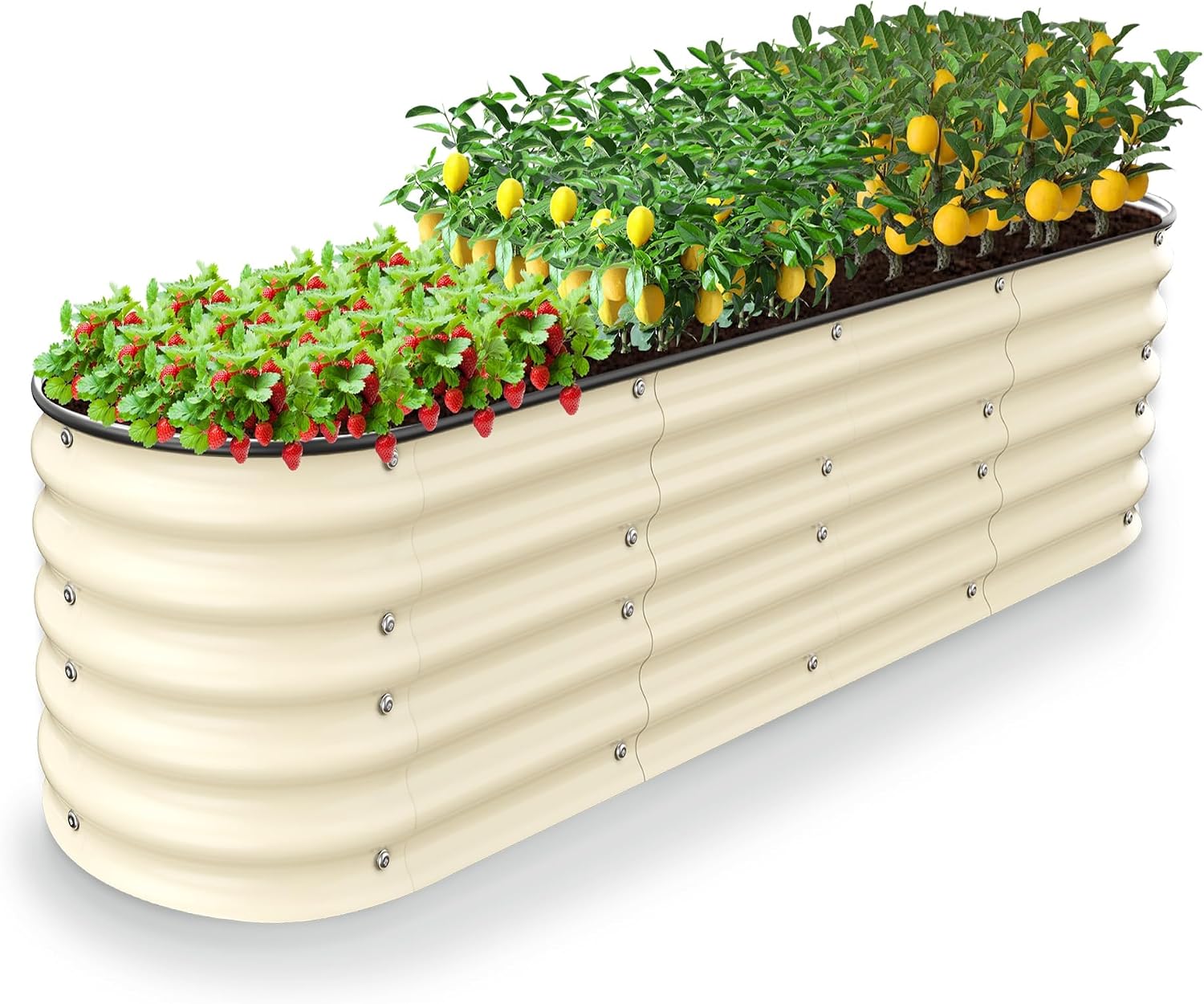 Canteiro Elevado 8x2x1.4ft, Ca - Raised Bed Planter Box avaliação e preço