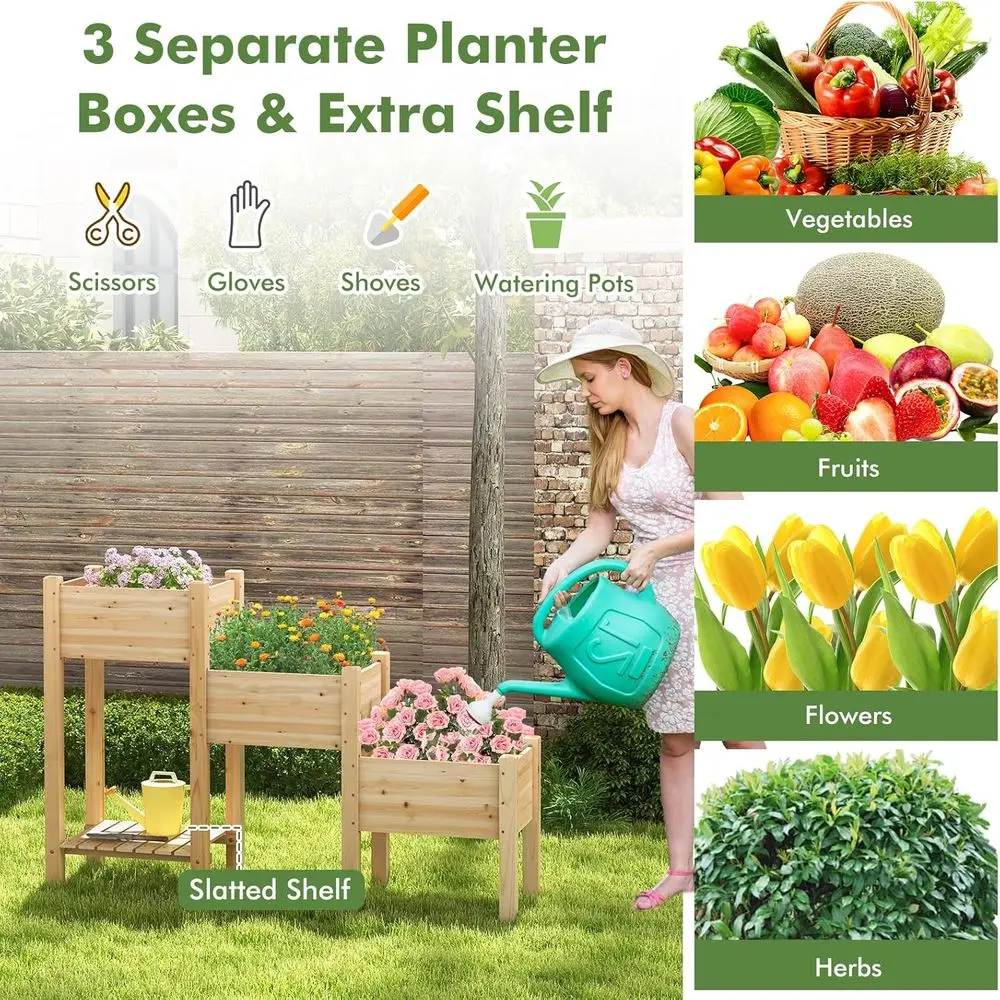 Canteiro Elevado de Madeira de - Raised Bed Planter Box avaliação e preço