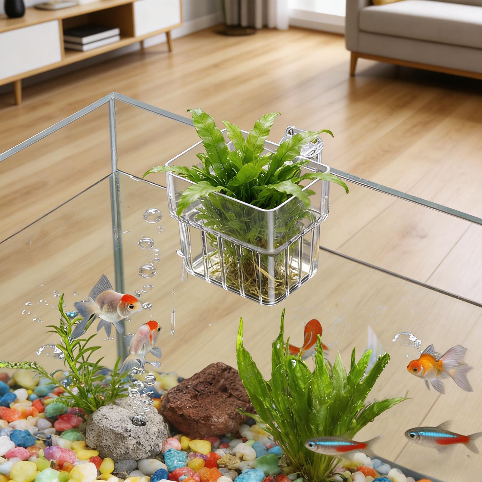 Suporte de planta de aquário t - Hanging Planter Basket avaliação e preço