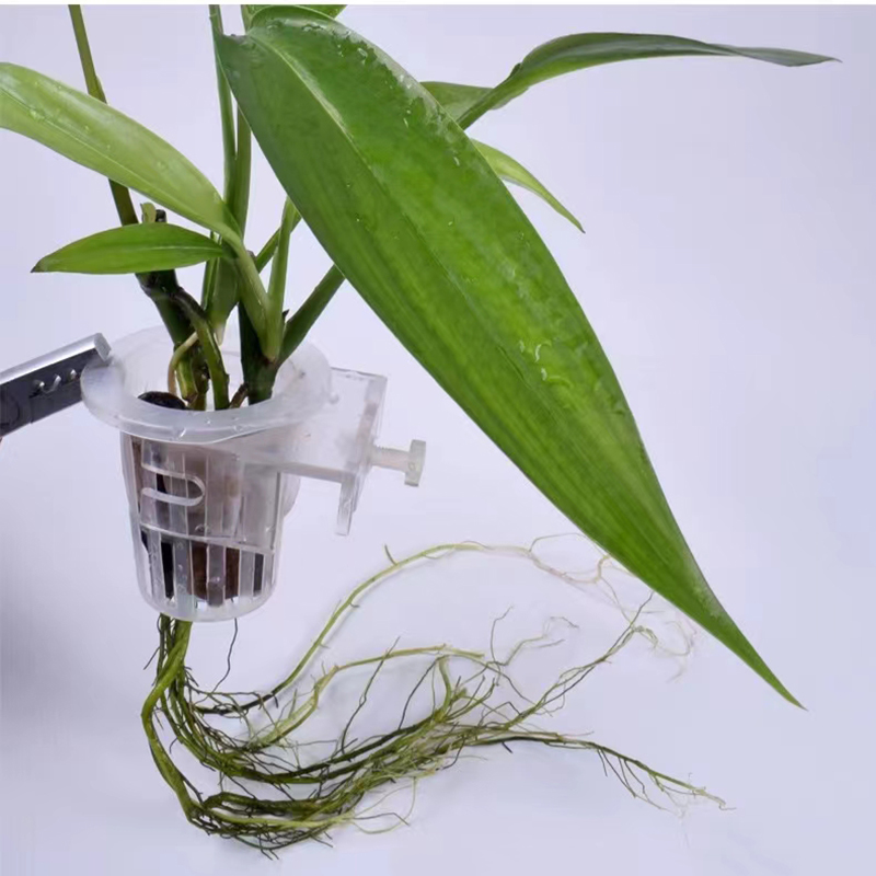 Cesta de plantio de aquário, s - Hanging Planter Basket avaliação e preço